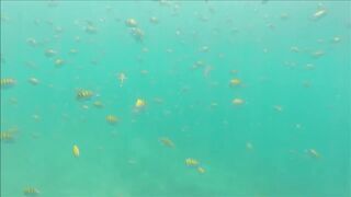 Gulf of Papagayo Costa Rica прогулка на лодке снорклинг и стоит ли брать снасти для рыбалки