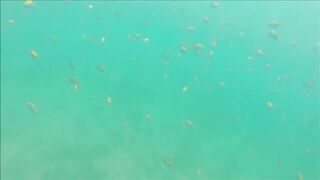 Gulf of Papagayo Costa Rica прогулка на лодке снорклинг и стоит ли брать снасти для рыбалки