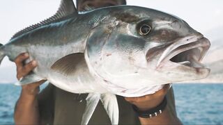 Fethiye Turkey морская рыбалка в Эгейском море на amberjack знакомство с капитаном Koray и лодкой