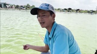 Vietnam Fishing TV: чёрный амур Trắm Đen с пруда и зрелищная трофейная рыбалка во Вьетнаме