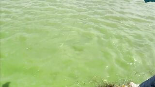 Vietnam Fishing TV: чёрный амур Trắm Đen с пруда и зрелищная трофейная рыбалка во Вьетнаме