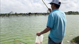 Vietnam Fishing TV: чёрный амур Trắm Đen с пруда и зрелищная трофейная рыбалка во Вьетнаме