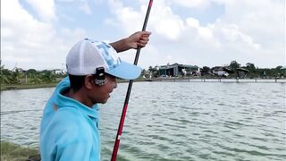 Vietnam Fishing TV: чёрный амур Trắm Đen с пруда и зрелищная трофейная рыбалка во Вьетнаме