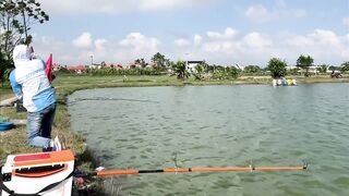 Vietnam Fishing TV: чёрный амур Trắm Đen с пруда и зрелищная трофейная рыбалка во Вьетнаме