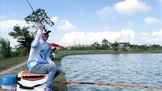 Vietnam Fishing TV: чёрный амур Trắm Đen с пруда и зрелищная трофейная рыбалка во Вьетнаме