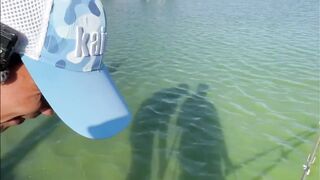 Vietnam Fishing TV: чёрный амур Trắm Đen с пруда и зрелищная трофейная рыбалка во Вьетнаме