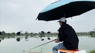 Vietnam Fishing TV: чёрный амур Trắm Đen с пруда и зрелищная трофейная рыбалка во Вьетнаме