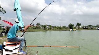 Vietnam Fishing TV: чёрный амур Trắm Đen с пруда и зрелищная трофейная рыбалка во Вьетнаме