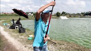 Vietnam Fishing TV: чёрный амур Trắm Đen с пруда и зрелищная трофейная рыбалка во Вьетнаме