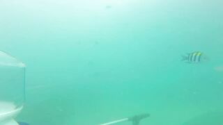 Sea Walking Phuket Coral Island прогулка по дну в шлемах и как тут с рыбой у рифов