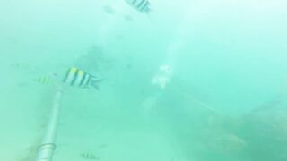 Sea Walking Phuket Coral Island прогулка по дну в шлемах и как тут с рыбой у рифов