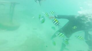 Sea Walking Phuket Coral Island прогулка по дну в шлемах и как тут с рыбой у рифов