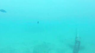 Sea Walking Phuket Coral Island прогулка по дну в шлемах и как тут с рыбой у рифов