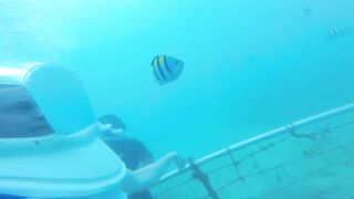 Sea Walking Phuket Coral Island прогулка по дну в шлемах и как тут с рыбой у рифов