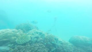 Sea Walking Phuket Coral Island прогулка по дну в шлемах и как тут с рыбой у рифов