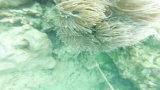 Sea Walking Phuket Coral Island прогулка по дну в шлемах и как тут с рыбой у рифов