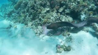 Red Sea Egypt: морская рыбалка в Marsa Alam выезд в море и трофеи на борту катера