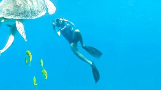 Red Sea Egypt: морская рыбалка в Marsa Alam выезд в море и трофеи на борту катера