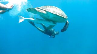 Red Sea Egypt: морская рыбалка в Marsa Alam выезд в море и трофеи на борту катера