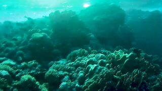 Red Sea Egypt: морская рыбалка в Marsa Alam выезд в море и трофеи на борту катера
