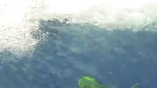 Big game pêche Las Terrenas Доминикана трофейная морская рыбалка крупная океанская рыба