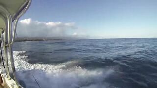 Big game pêche Las Terrenas Доминикана трофейная морская рыбалка крупная океанская рыба