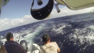 Big game pêche Las Terrenas Доминикана трофейная морская рыбалка крупная океанская рыба