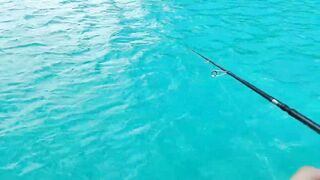 Морская рыбалка на Phu Quoc Island с лодки за тропическими трофеями в тёплом море Вьетнама