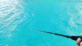 Морская рыбалка на Phu Quoc Island с лодки за тропическими трофеями в тёплом море Вьетнама