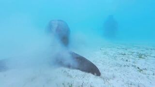 Корон, Филиппины неземной рай тайны острова и истории о месте которое скрывают от туристов