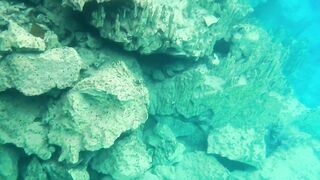 Корон Бусуанга: семь чудес Филиппин и стоит ли планировать тут рыбалку с лодки по лагунам