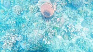 Корон Бусуанга: семь чудес Филиппин и стоит ли планировать тут рыбалку с лодки по лагунам