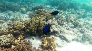 Корон Бусуанга: семь чудес Филиппин и стоит ли планировать тут рыбалку с лодки по лагунам