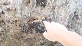 Самые красивые пляжи Занзибара - Paje Jambiani Mtende Pingwe и какой из них выбрать для отдыха