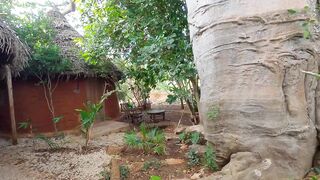 Самые красивые пляжи Занзибара - Paje Jambiani Mtende Pingwe и какой из них выбрать для отдыха