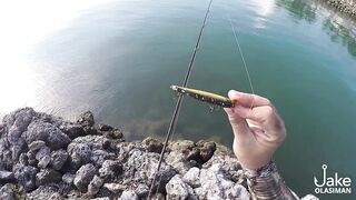 Рыбалка на барракуду у Porter Marina Cebu мягкие приманки софтбейты и тропический причал