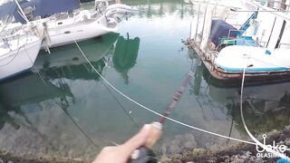 Рыбалка на барракуду у Porter Marina Cebu мягкие приманки софтбейты и тропический причал