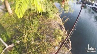 Рыбалка на барракуду у Porter Marina Cebu мягкие приманки софтбейты и тропический причал