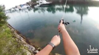 Рыбалка на барракуду у Porter Marina Cebu мягкие приманки софтбейты и тропический причал