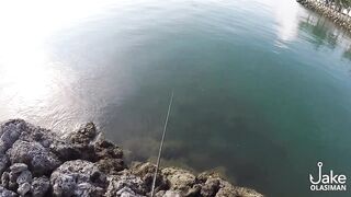 Рыбалка на барракуду у Porter Marina Cebu мягкие приманки софтбейты и тропический причал