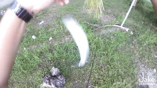 Рыбалка на барракуду у Porter Marina Cebu мягкие приманки софтбейты и тропический причал