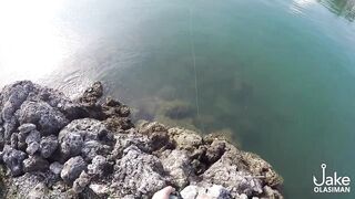 Рыбалка на барракуду у Porter Marina Cebu мягкие приманки софтбейты и тропический причал