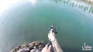 Рыбалка на барракуду у Porter Marina Cebu мягкие приманки софтбейты и тропический причал