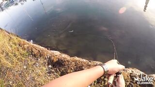 Рыбалка на барракуду у Porter Marina Cebu мягкие приманки софтбейты и тропический причал