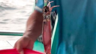 Phu Quoc Vietnam морская рыбалка на кальмара с туром Johns Tours вечерний выход в открытое море