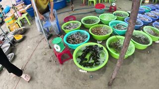 Рыбацкая деревня и самый красивый вид Mui Ne Vietnam 2024 жизнь у моря лодки на песке и сети