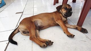 Mui Ne Vietnam готовим и едим рыбу которую сами поймали на рыбалке у берега Южно Китайского моря