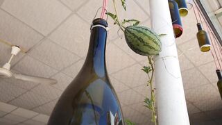 Mui Ne Vietnam готовим и едим рыбу которую сами поймали на рыбалке у берега Южно Китайского моря