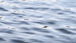 Vietnam Fishing TV: рыбалка на карася в пруду с сильным течением во Вьетнаме