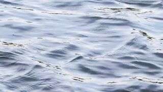 Vietnam Fishing TV: рыбалка на карася в пруду с сильным течением во Вьетнаме